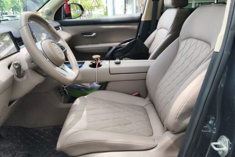 Used Landian E5 PLUS 2026 Model 230km Ultra-Long-Range Version Ultra 7-seater Left Front Seat