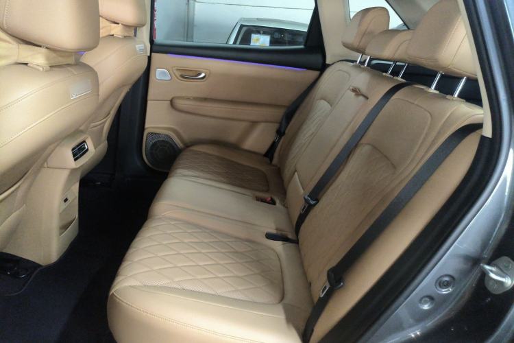 Used Landian E5 PLUS 2026 Model 165km Long-Range First-Adoption Version Ultra 5-seater Left Rear Seat