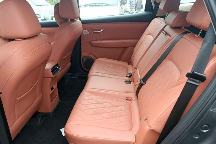 Used Landian E5 PLUS 2026 Model 165km Long-Range First-Adoption Version Ultra 7-seater Left Rear Seat