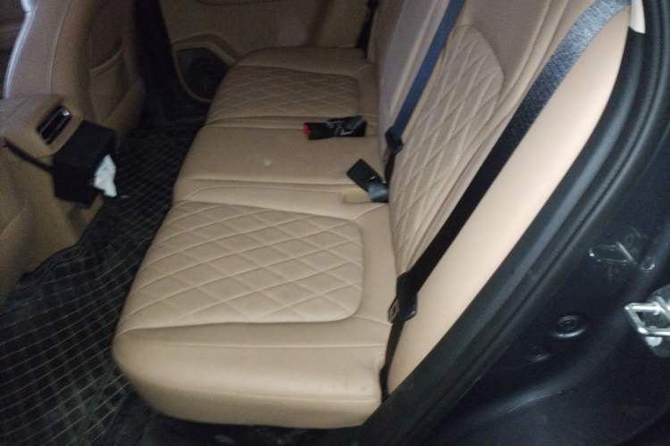 Used Landian E5 PLUS 2026 Model 165km Long-Range First-Adoption Version Ultra 5-seater Left Rear Seat