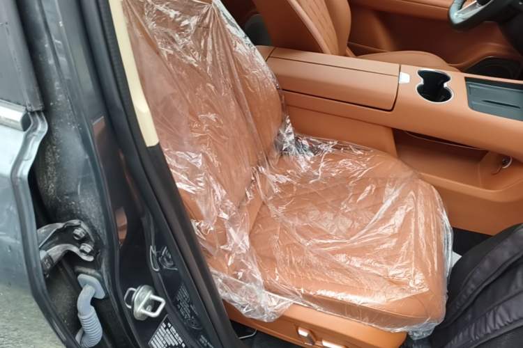 Used Landian E5 PLUS 2026 Model, 165km Long-Range First-Adoption Edition Max, 7-seater Right Front Seat