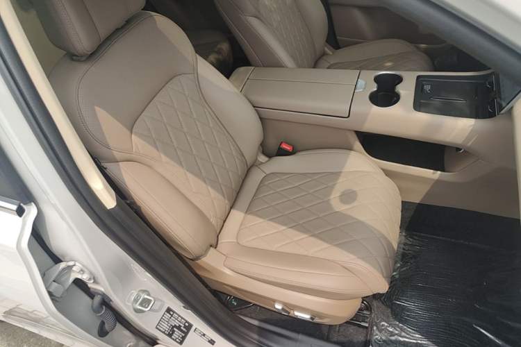 Used Landian E5 PLUS 2026 Model 230km Ultra-Long-Range Version Ultra 5-seater Right Front Seat