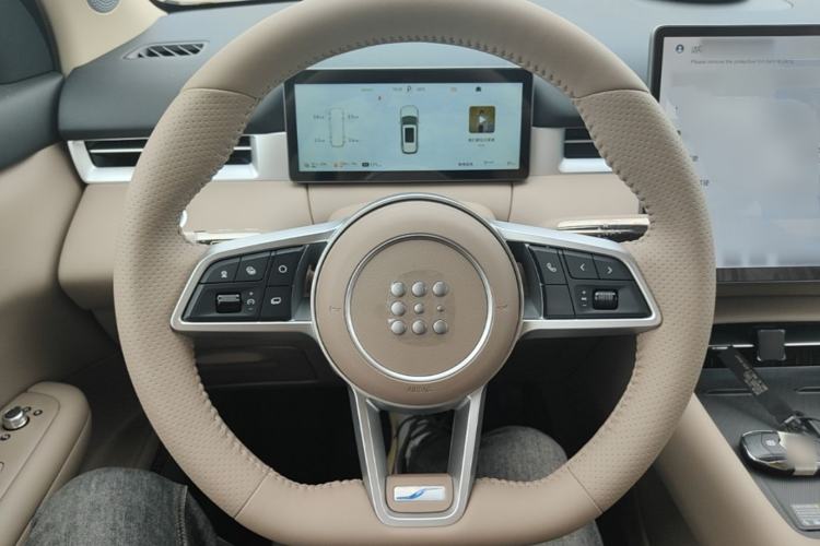 Used Landian E5 PLUS 2026 Model 230km Ultra-Long-Range Version Ultra 7-seater Steering Wheel