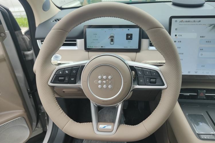 Used Landian E5 PLUS 2026 Model 230km Ultra-Long-Range Version Ultra 5-seater Steering Wheel