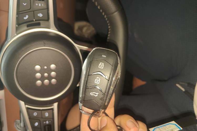 Used Landian E5 PLUS 2026 Model 165km Long-Range First-Adoption Version Ultra 7-seater Vehicle Key