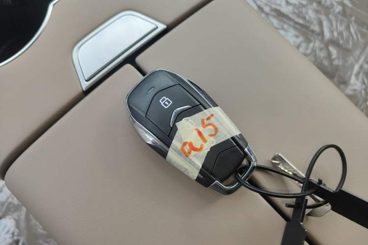 Used Landian E5 PLUS 2026 Model 230km Ultra-Long-Range Version Ultra 7-seater Vehicle Key