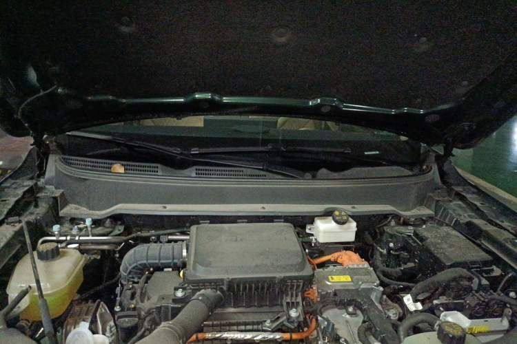 Used Landian E5 PLUS 2026 Model 165km Long-Range First-Adoption Version Ultra 7-seater Engine Bay