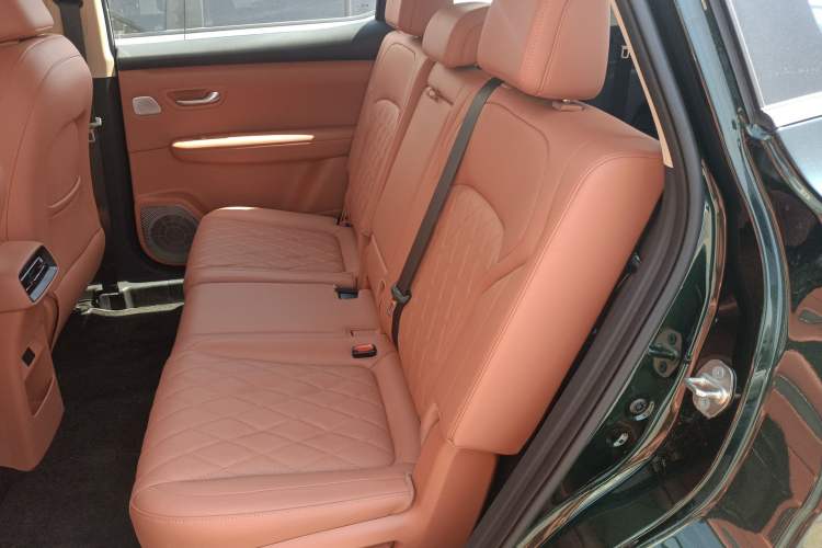 Used Landian E5 PLUS 2026 Model 165km Long-Range First-Adoption Version Ultra 7-seater Left Rear Seat