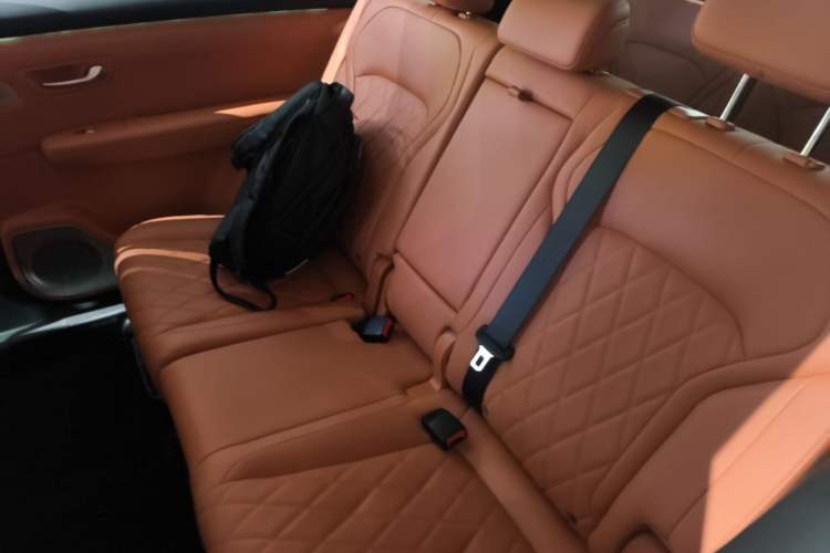 Used Landian E5 PLUS 2026 Model 165km Long-Range First-Adoption Version Ultra 7-seater Left Rear Seat