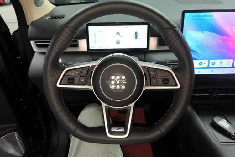 Used Landian E5 PLUS 2026 Model, 165km Long-Range First-Adoption Edition Max, 7-seater Steering Wheel