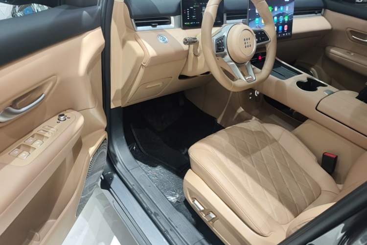 Used Landian E5 PLUS 2026 Model, 165km Long-Range First-Adoption Edition Max, 5-seater Driver Seat