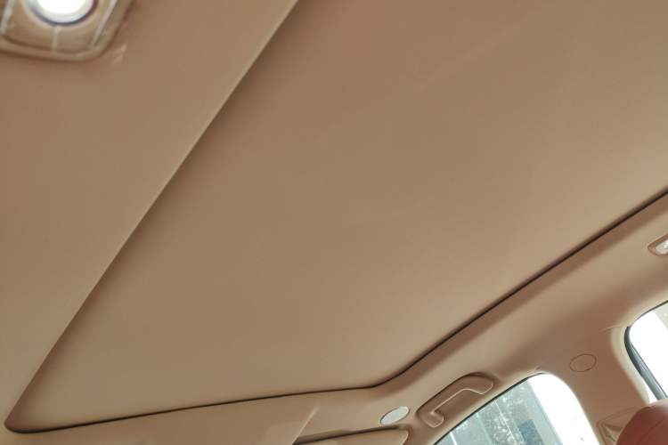 Used Landian E5 PLUS 2026 Model 165km Long-Range First-Adoption Version Ultra 5-seater Headliner