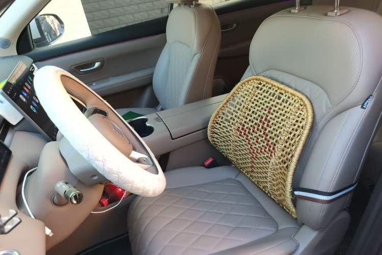 Used Landian E5 PLUS 2026 Model 230km Ultra-Long-Range Version Ultra 7-seater Left Front Seat