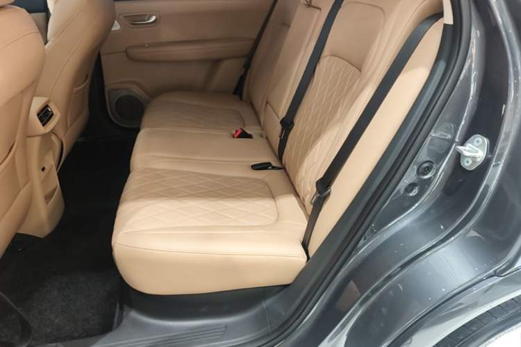 Used Landian E5 PLUS 2026 Model, 165km Long-Range First-Adoption Edition Max, 5-seater Left Rear Seat
