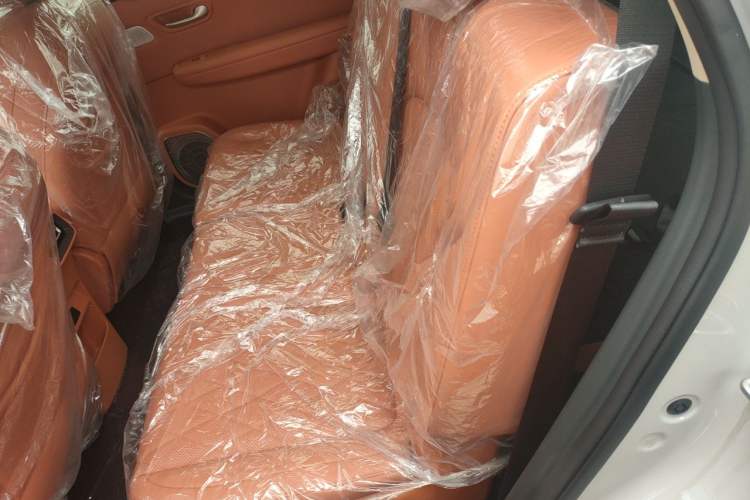 Used Landian E5 PLUS 2026 Model 230km Ultra-Long-Range Version Ultra 7-seater Left Rear Seat