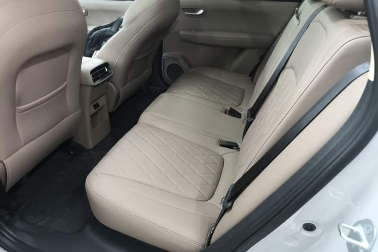 Used Landian E5 PLUS 2026 Model Standard-Range All-Wheel-Drive Performance Version Ultra Left Rear Seat