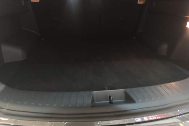 Used Landian E5 PLUS 2026 Model, 165km Long-Range First-Adoption Edition Max, 5-seater Trunk
