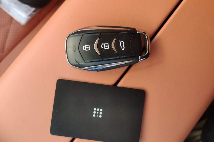 Used Landian E5 PLUS 2026 Model 165km Long-Range First-Adoption Version Ultra 5-seater Vehicle Key