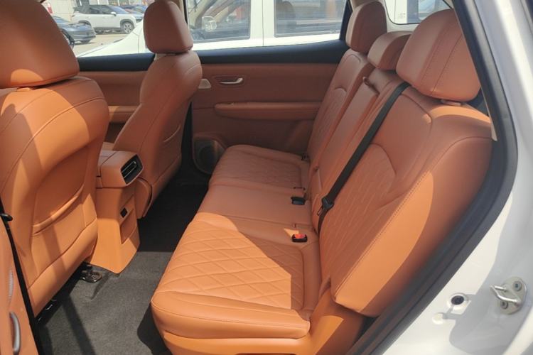 Used Landian E5 PLUS 2026 Model, 165km Long-Range First-Adoption Edition Max, 7-seater Left Rear Seat