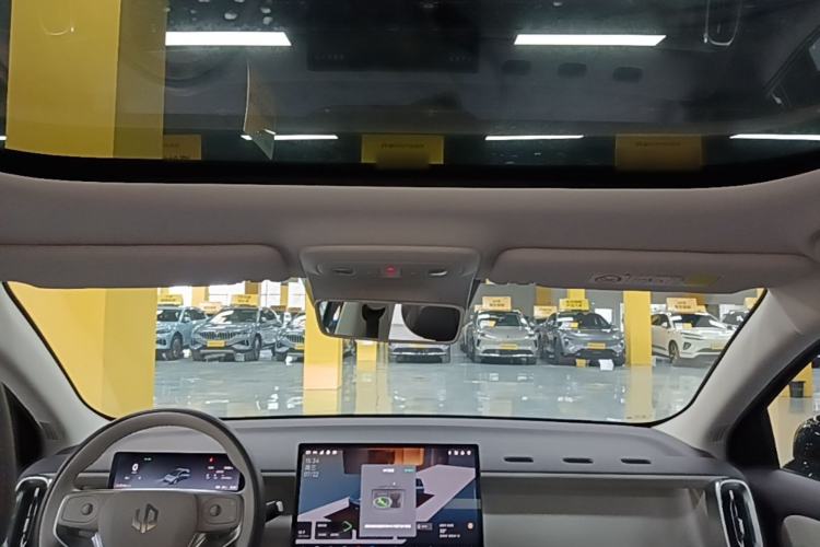 Used Leapmotor B01 2025 550 LiDAR Edition Headliner