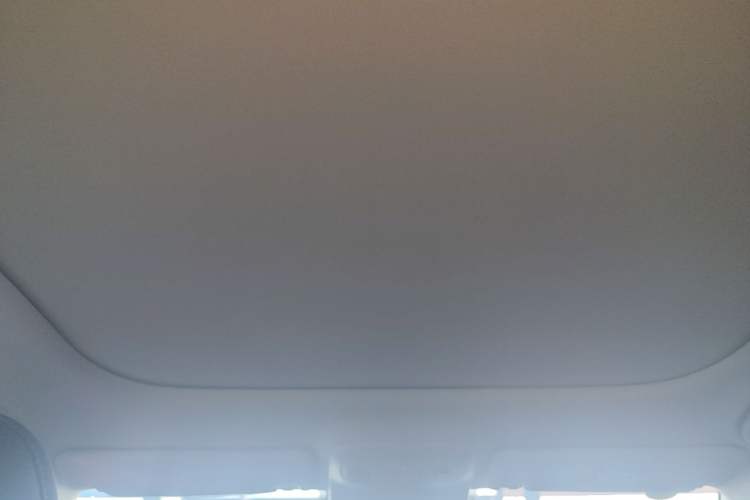 Used Leapmotor B01 2025 550 LiDAR Edition Headliner