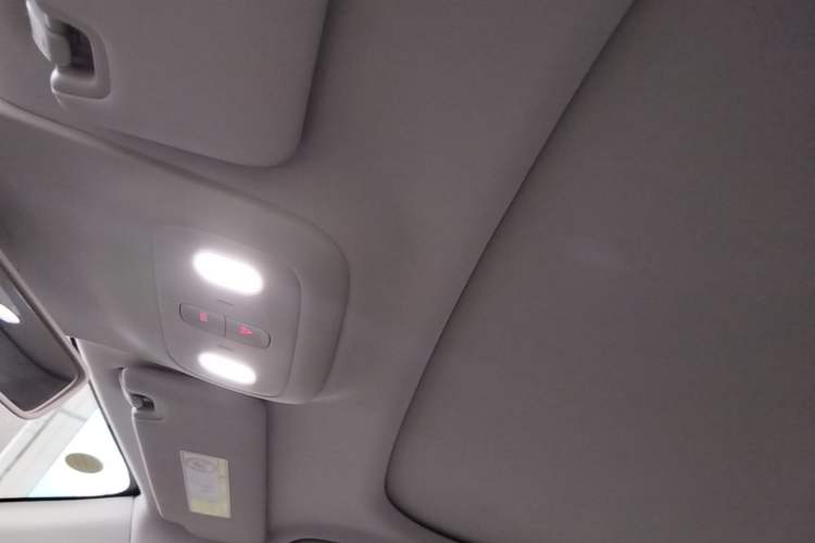 Used Leapmotor B01 2025 550 LiDAR Edition Headliner