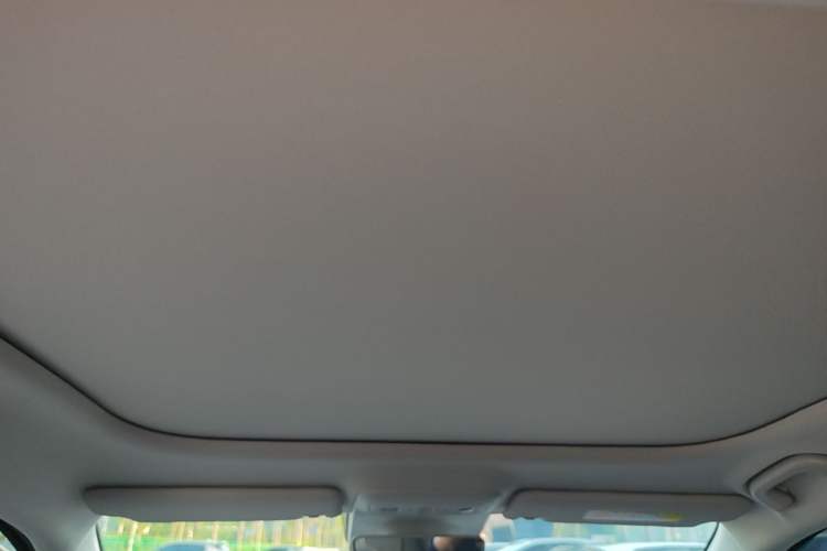 Used Leapmotor B01 2025 550 LiDAR Edition Headliner