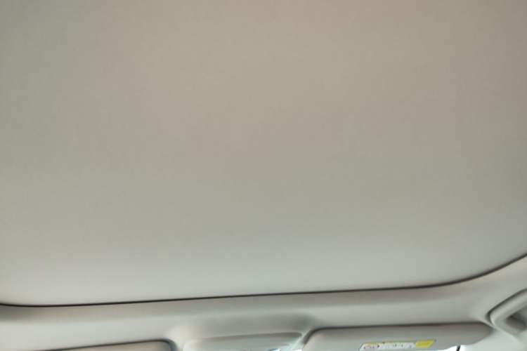 Used Leapmotor B01 2025 650 Enjoyment Edition Headliner