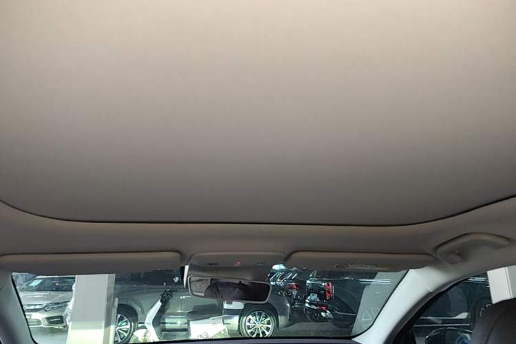 Used Leapmotor B01 2025 550 LiDAR Edition Headliner