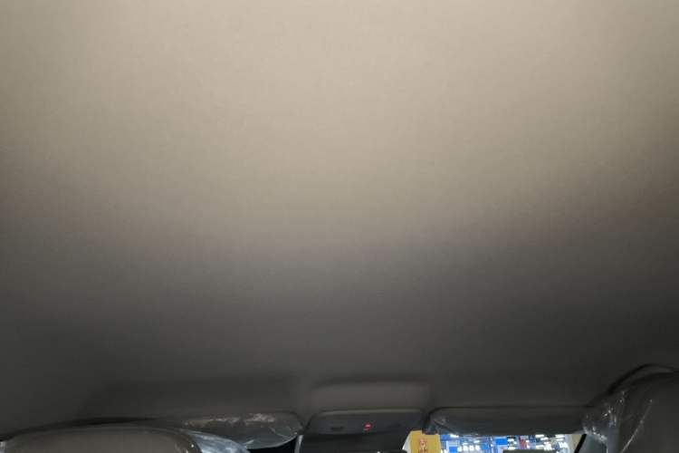 Used Leapmotor B01 2025 430 Comfort Edition Headliner