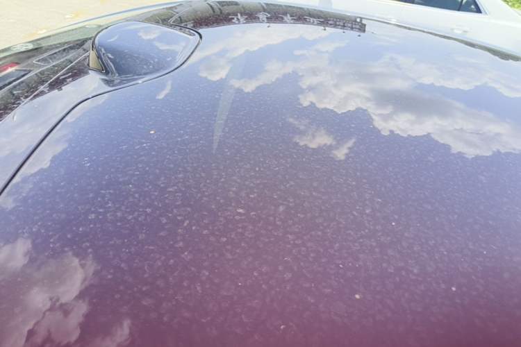 Used Leapmotor B01 2025 550 LiDAR Edition Roof
