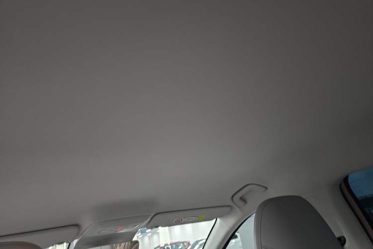 Used Leapmotor B01 2025 550 Comfort Edition Headliner