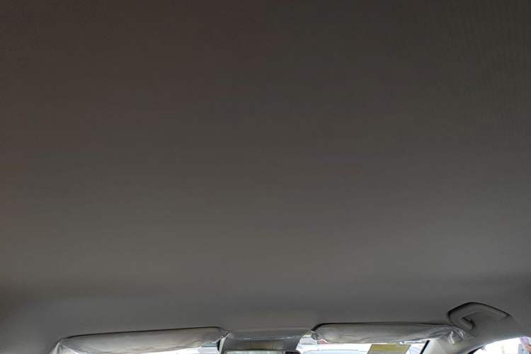 Used Leapmotor B01 2025 430 Comfort Edition Headliner