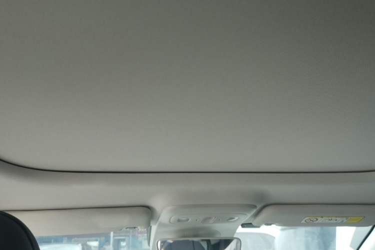 Used Leapmotor B01 2025 650 Enjoyment Edition Headliner