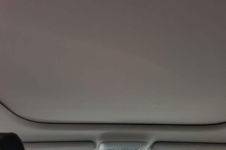 Used Leapmotor B01 2025 650 Enjoyment Edition Headliner