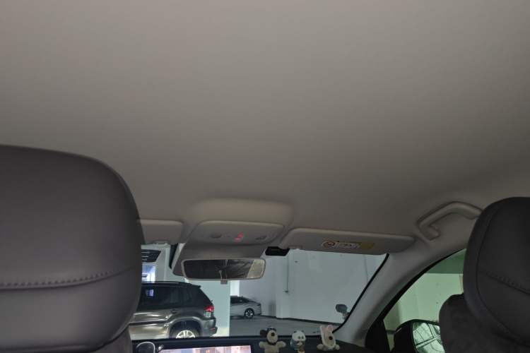 Used Leapmotor B01 2025 550 Smart Drive Edition Headliner