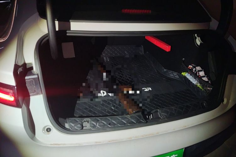 Used Leapmotor B01 2025 650 LiDAR Edition Trunk