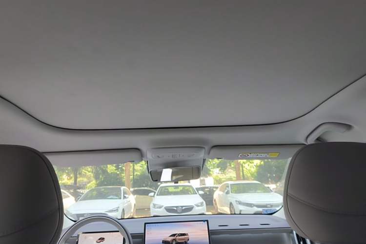 Used Leapmotor B01 2025 550 Enjoyment Edition Headliner