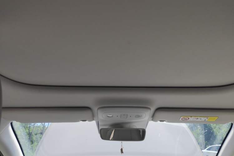 Used Leapmotor B01 2025 650 Enjoyment Edition Headliner