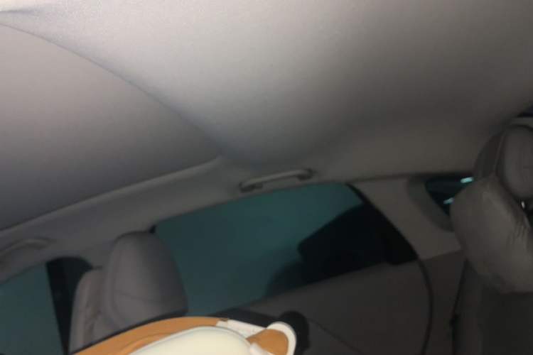 Used Leapmotor B01 2025 650 Enjoyment Edition Headliner