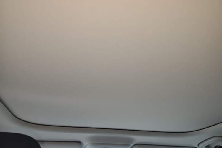 Used Leapmotor B01 2025 650 LiDAR Edition Headliner