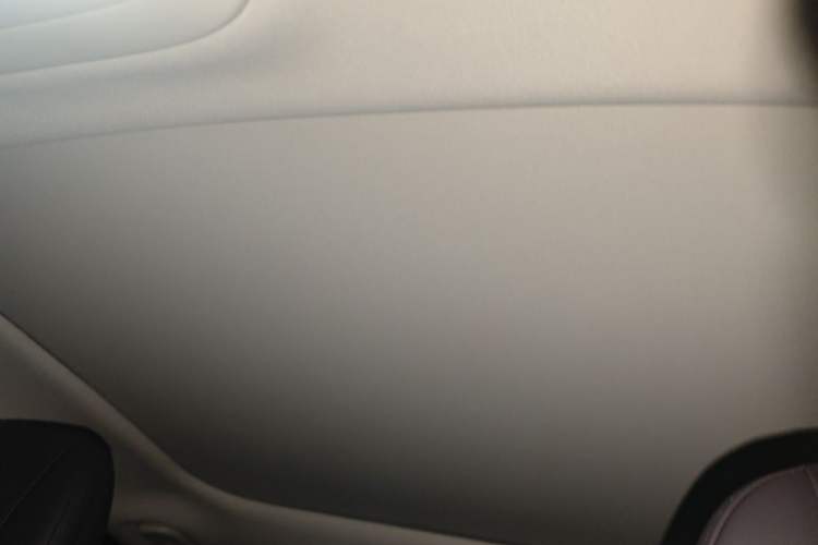 Used Leapmotor B01 2025 650 Enjoyment Edition Headliner