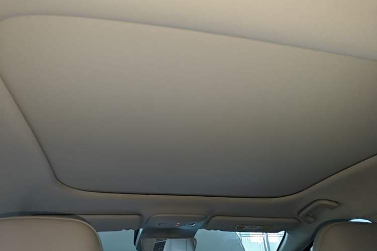 Used Leapmotor B01 2025 650 Enjoyment Edition Headliner