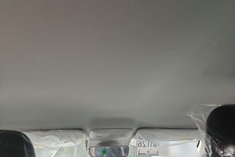 Used Leapmotor B01 2025 430 Comfort Edition Headliner