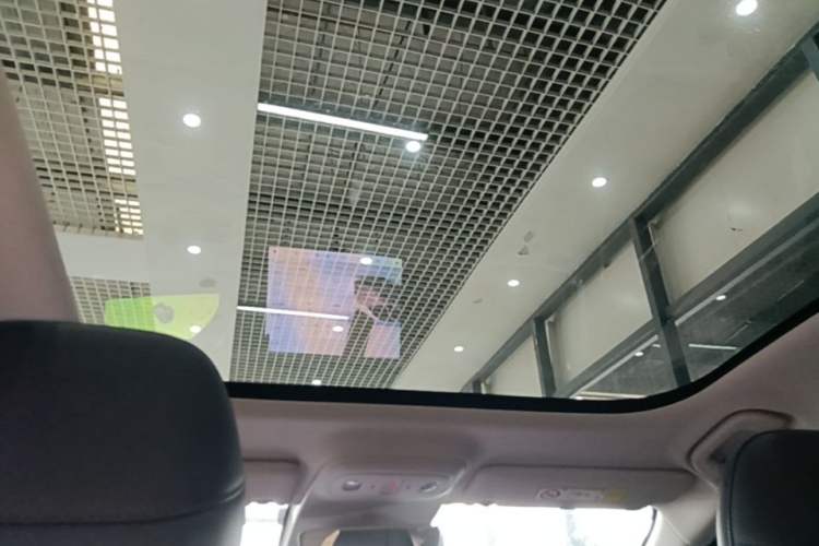 Used Leapmotor B01 2025 550 Enjoyment Edition Headliner