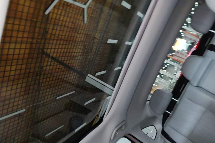 Used Leapmotor B01 2025 650 Enjoyment Edition Headliner