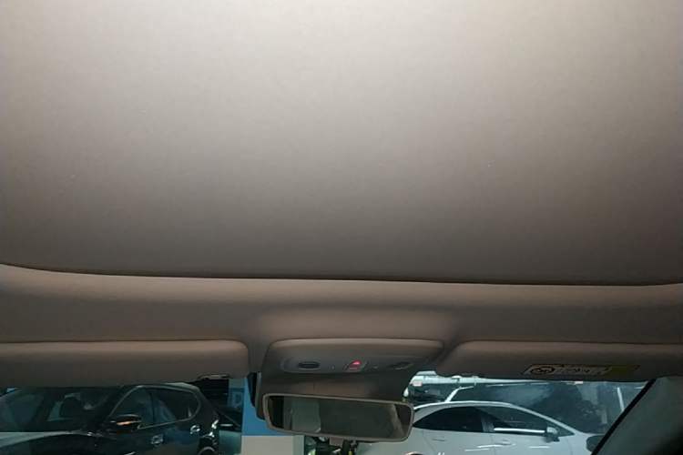Used Leapmotor B01 2025 650 Enjoyment Edition Headliner
