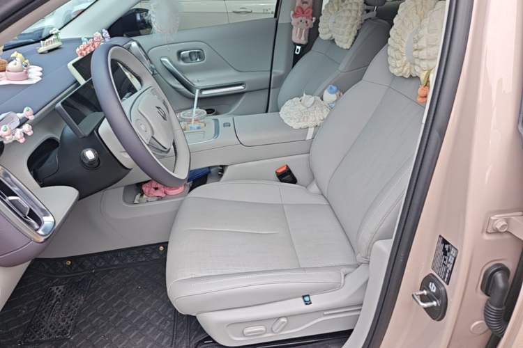 Used Leapmotor B01 2025 650 Enjoyment Edition Left Front Seat