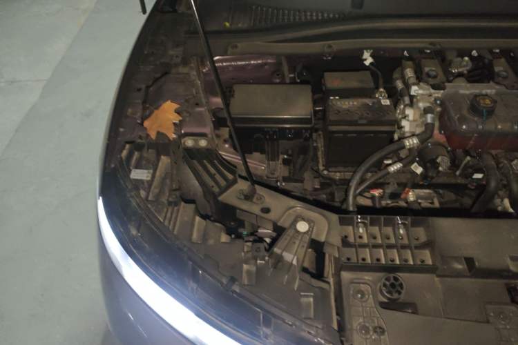 Used Leapmotor B01 2025 650 LiDAR Edition Engine Bay Right