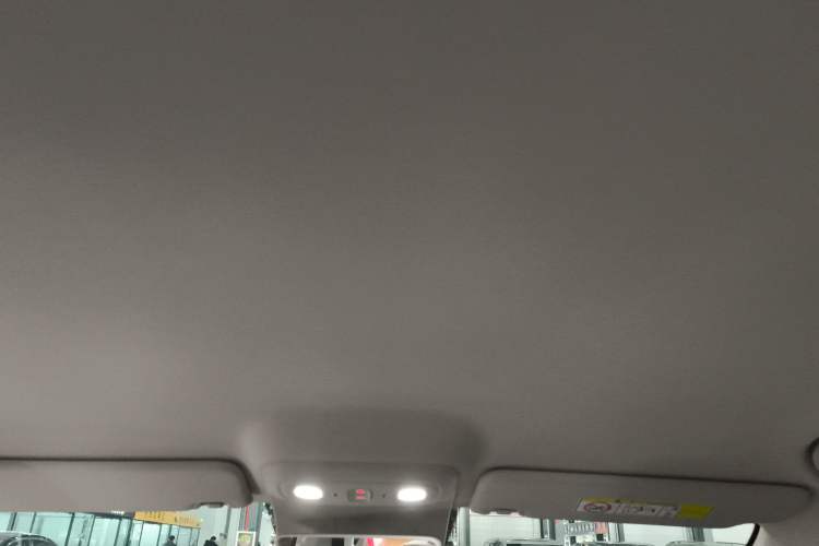 Used Leapmotor B01 2025 430 Comfort Edition Headliner
